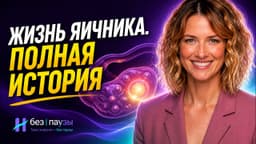 От эмбриона до менопаузы — что происходит внутри яичника за всю жизнь